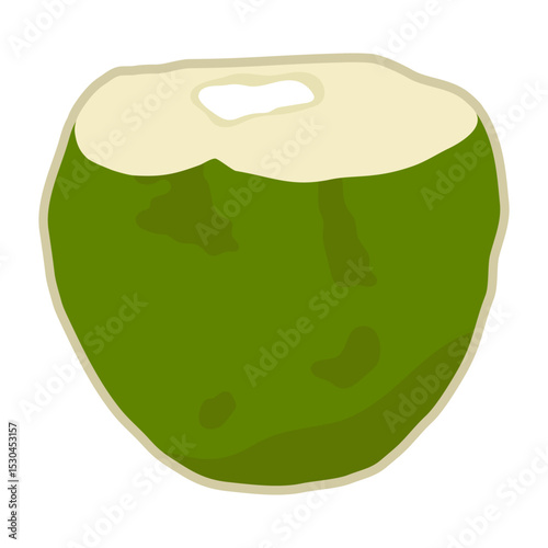 Cute hand drawn whole coconut. Fresh young coconut fruit with opened one.