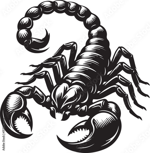 Black and White Scorpion Vector Illustration – Aggressive Insect Tattoo Design	
