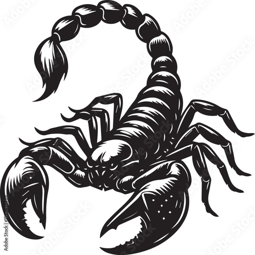 Black and White Scorpion Vector Illustration – Aggressive Insect Tattoo Design	
