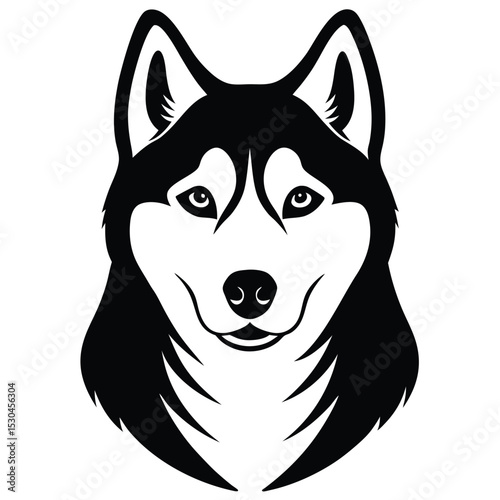 husky dog vector