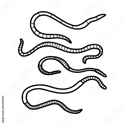 Cartoon Worms Line Art Illustration