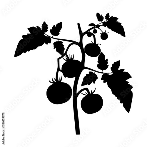 Tomato Vine Silhouette - Black on White