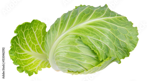 Fresh green cabbage head vegetable healthy eating ingredient cooking recipe food photography isolated 100 characters