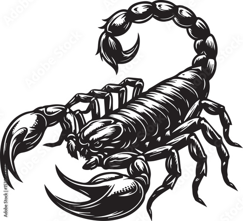 Black and White Scorpion Vector Illustration – Aggressive Insect Tattoo Design	
