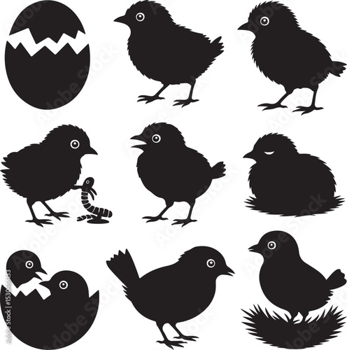 Baby Bird & Chick Silhouette Bundle – 10 Black Vector Designs – Hatchlings, Fluffy Chicks, Nestlings, Feeding, and More