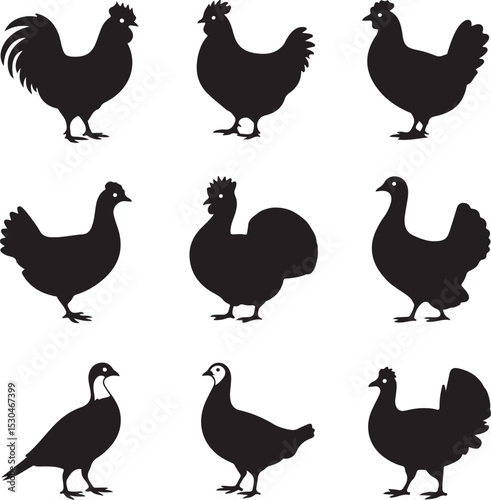 Farm Bird Silhouette Icon Set – 10 Black Vector Side Profiles – Rooster, Hen, Chick, Duck, Turkey, Goose, Quail, Pigeon, Guinea Fowl, Peafowl