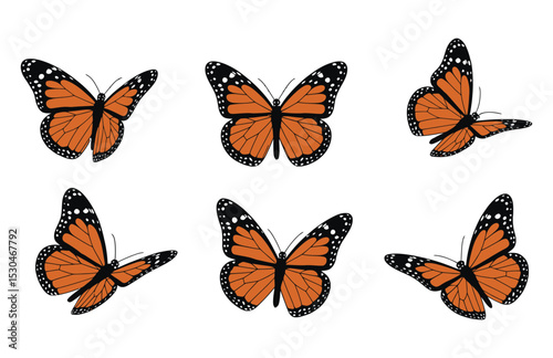 "Wings of Six: A Vector Symphony of Butterflies"

