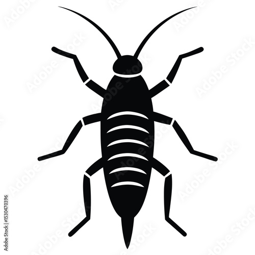 silverfish veector