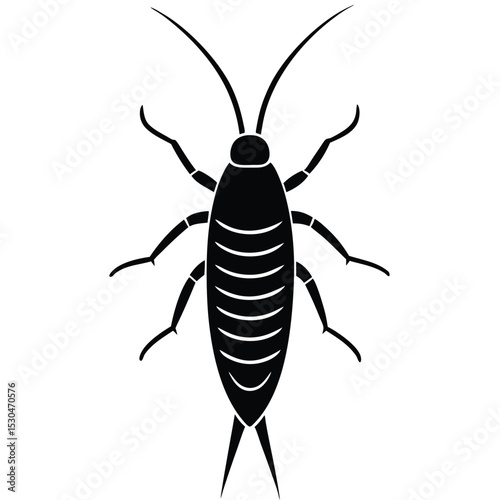silverfish veector