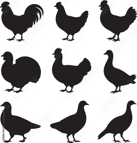Farm Bird Silhouette Icon Set – 10 Black Vector Side Profiles – Rooster, Hen, Chick, Duck, Turkey, Goose, Quail, Pigeon, Guinea Fowl, Peafowl