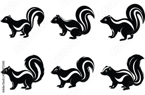 skunk vector
