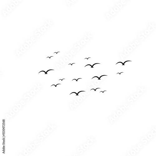 Simple birds flying isolated on white background.
