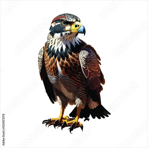Majestic Bald Eagle with Wings Spread in Flight Isolated on White Background