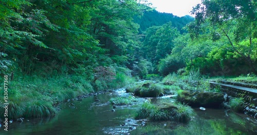 養沢川 秋川渓谷