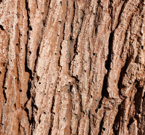 Brown concrete close-up abstract textured background
