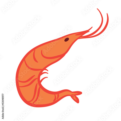 Hand drawn shrimps in doodle style. Mediterranean seafood, summer element for italian menu, wedding, print, invitation. Ink sketch design of  Amalfi beach. Flat tropical minimalist vector illustration