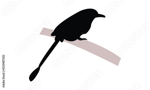 Amazonian motmot bird Silhouette Design  And Vector Illustration. 