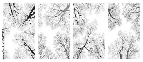 Bare tree silhouette vector pack textured halftone stipple branches view from below artistic winter forest transparent background natural ink style hand drawn trees