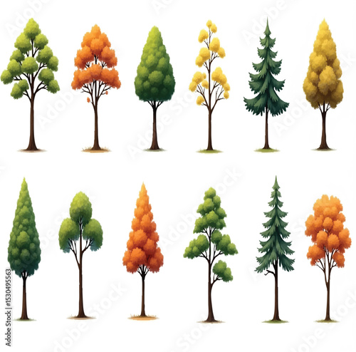 Set of forest and park trees for nature design isolated on white background.