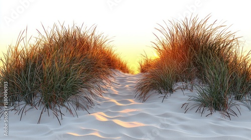 Serene Path Through Sandy Dunes Under Warm Sunny Breeze