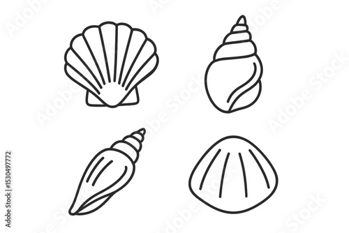 Collection of various seashells illustrated in simple line art style perfect for beach-themed designs or educational purposes