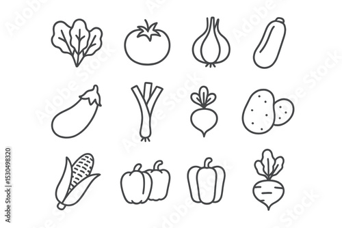 Assorted fresh vegetables displayed on a clean background in a hand-drawn style showcasing healthy eating options