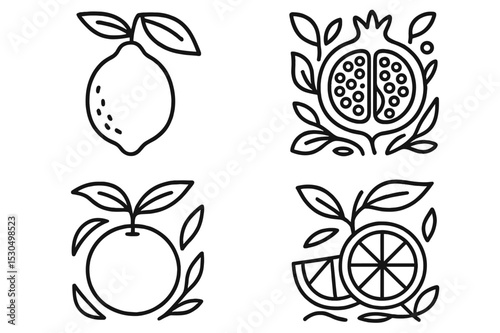 Creative line art of citrus and pomegranate fruits arranged in a pleasing design for decorative purposes