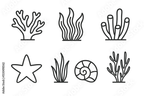 Various marine life elements including coral, seaweed, and shells in a minimalist design