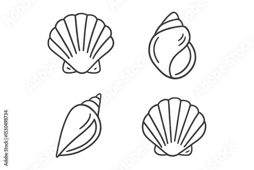 Various types of seashells sketched on a clean background illustrating marine biodiversity and beauty