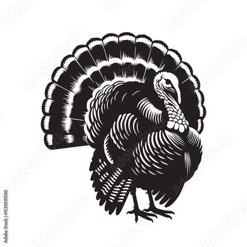 Turkey silhouette vector illustration on white background