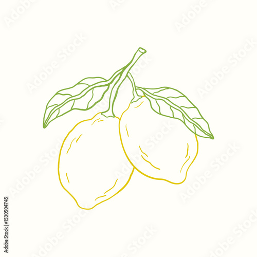 Doodle sketch illustration of lemon. Citrus tropical fruit