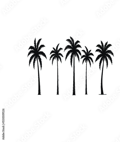 Tropical palm trees set silhouettes with white background.




