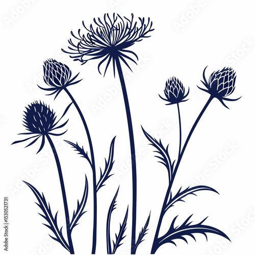 pincushion flowers with leaves