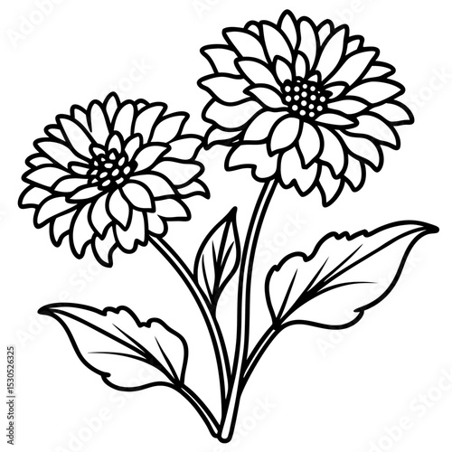 Calendula Flower Illustration on White Background A Detailed Vector Design with Vibrant Colors and Clean Lines for Various Creative Projects
