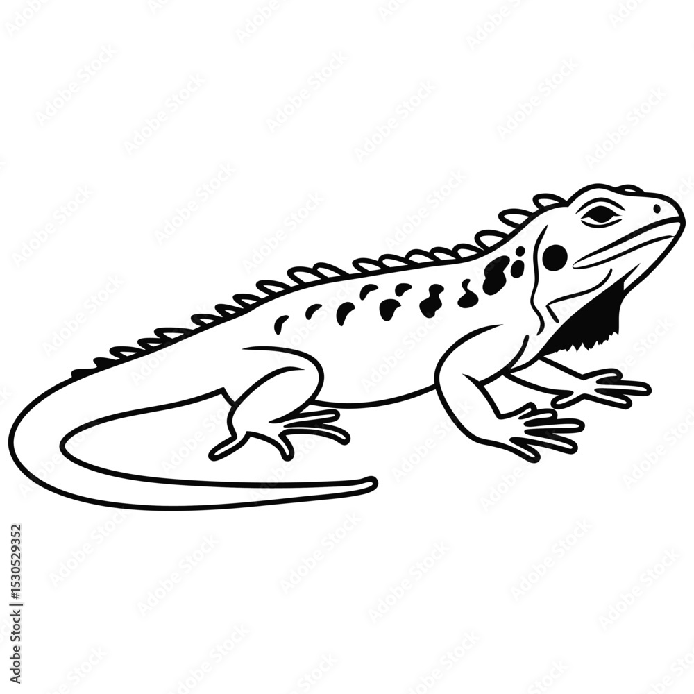 Fototapeta premium A contoured reptile shows black spots down its back in a simple outline