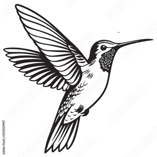 A detailed monochrome hummingbird with spread wings is captured elegantly in this stencil art