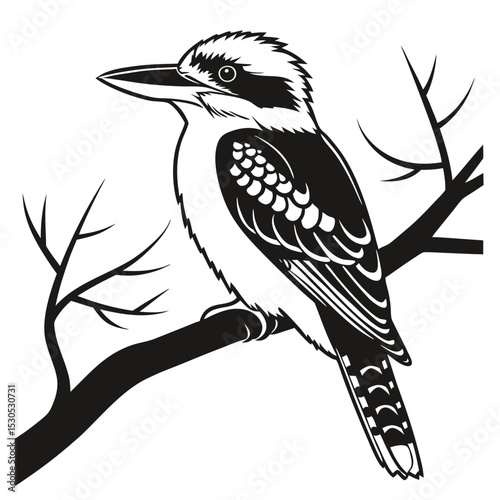 A kookaburra bird sits serenely on a branch rendered in monochromatic art