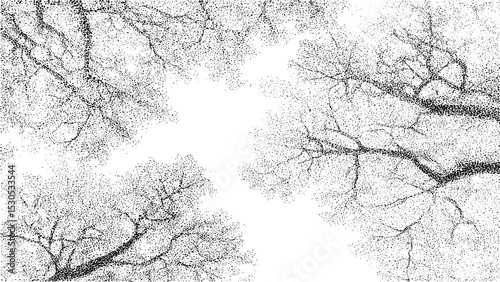 Black and white silhouette of tree branches abstract forest design in pointillism technique overhead top view vector on transparent background natural ink textured artistic composition.