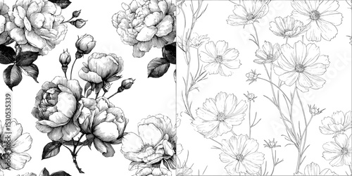 Floral botanical flowers in the Modern Cosmos are depicted through black and white engraved ink art forming a seamless background pattern
