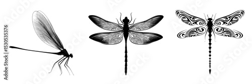 A black dragonfly's silhouette is depicted in a modern illustration set against a white background