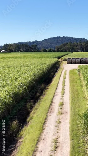 Aerial View of Sugarcane Fields and Storage Bins