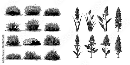 A contemporary collection of green grass silhouettes set against a white backdrop, evoking natural, eco-friendly, bio, and organic themes, ideal for conceptual design illustrations
