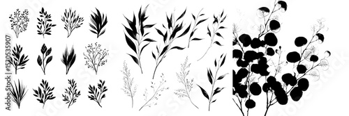 Modern illustrations feature plant branches with small leaves in black paint, set amidst a collection of silhouettes of leaves and twigs