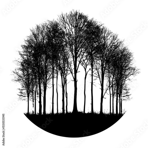The design features a silhouette of a magical forest in a black and white modern drawing frame, perfect for use on Halloween-themed cards and books