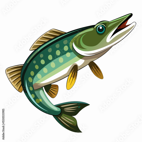 Pickerel Fish Illustration on White Background Detailed Vector Art of a Freshwater Game Fish Isolated and Ready for Design Use