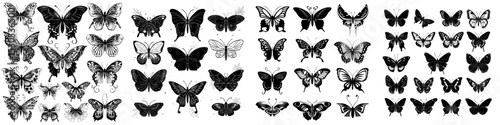 Butterfly silhouettes in black are depicted, along with outline butterflies for a romantic tattoo and tropical insects in stencil form