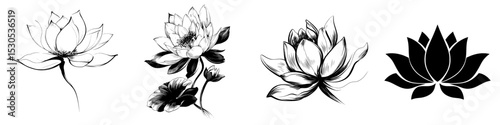 A contemporary black outline of a lotus flower stands alone on a white backdrop