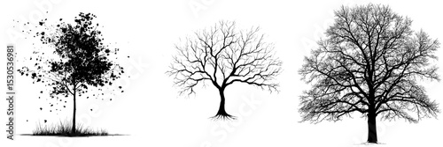 The tree, whether in autumn or winter, is depicted as a black silhouette set against a white background, serving as a modern design element with a hand-drawn, sketch-like quality