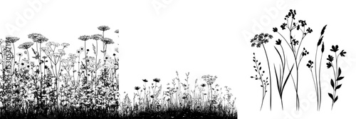 Hand-drawn sketch flowers are depicted in a modern illustration as black silhouettes of grass, flowers, and herbs isolated on white