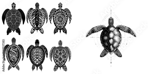 A collection of sea turtle stencil templates is shown on a white background in isolation